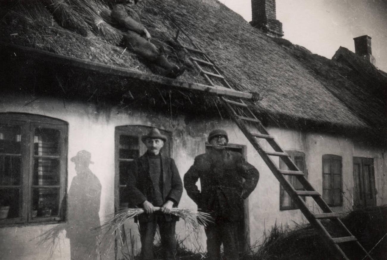 Thatchers at work on a farm cottage, Denmark, 1930s