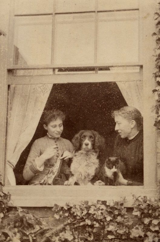 A Special Bond: Adorable Historic Photos of Dogs and Their Humans