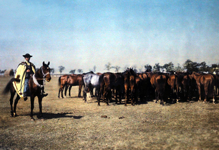 A caped rider rounds up horses on the Hungarian puszta, 1932.