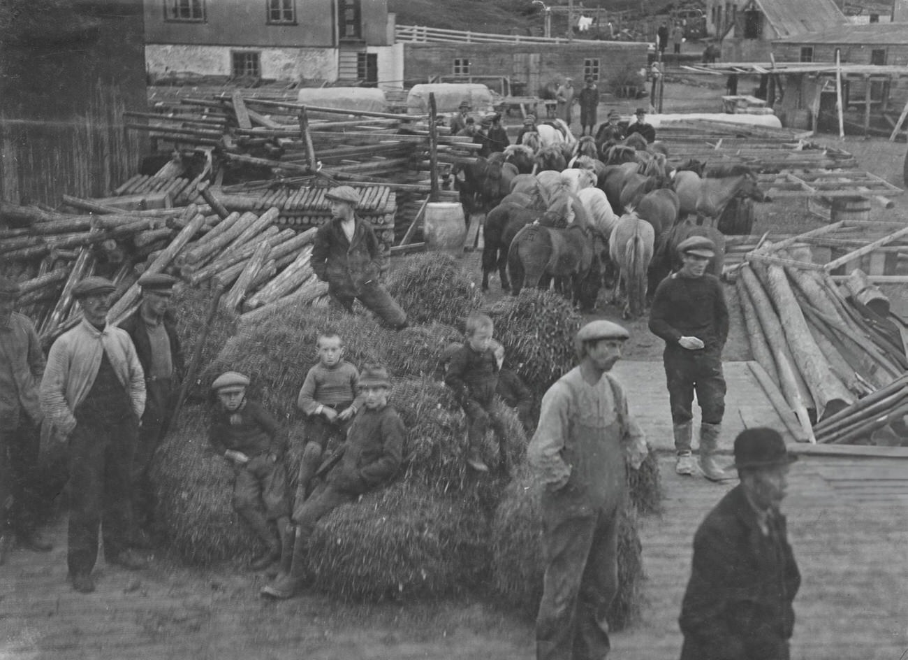 Men and boys near the quayside in Eskifjördur, Iceland, with Icelandic horses, 1935.