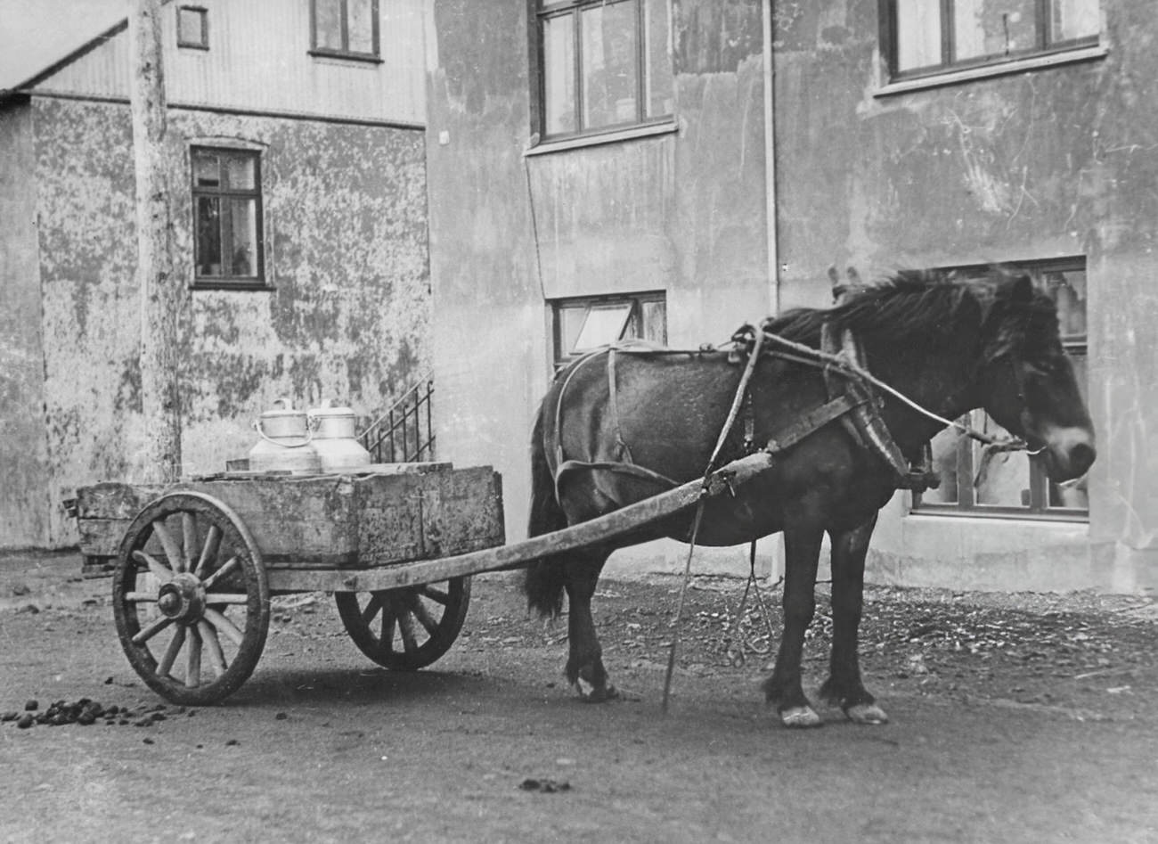 Horse and cart delivering milk in Reykjavik, Iceland, 1935.