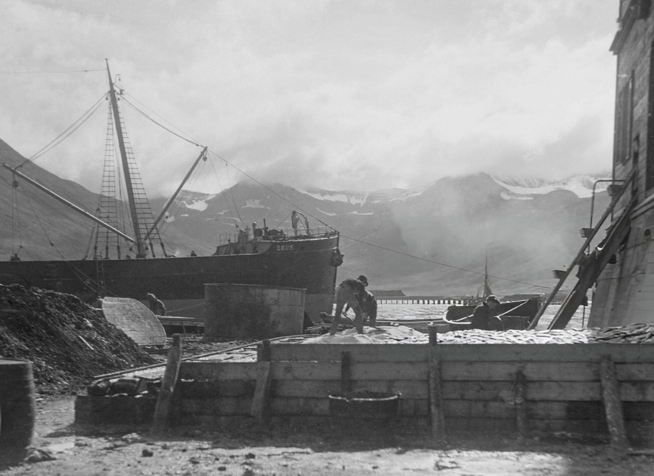 A herring processing factory in Siglufjordur, Iceland, 1935.