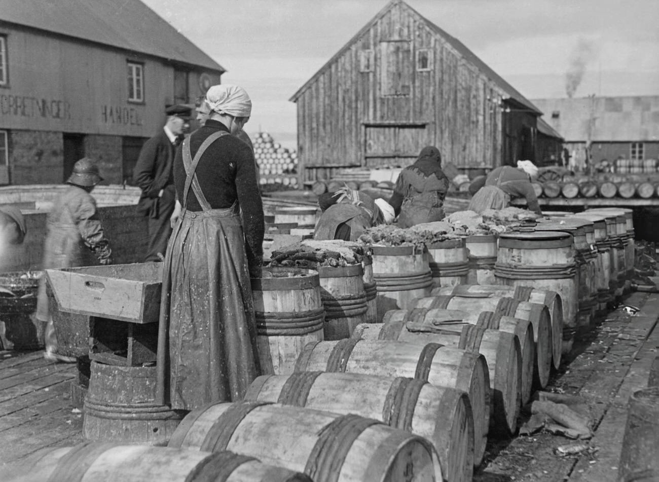 Women filling barrels with herrings in Siglufjordur, Iceland, 1935.