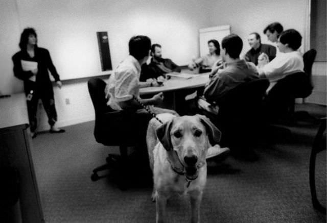 Dog & Meeting, Autodesk, San Rafael, California, 1995