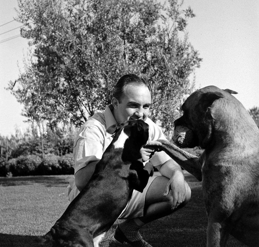 Mickey Cohen plays with dogs at home in Los Angeles, 1949.