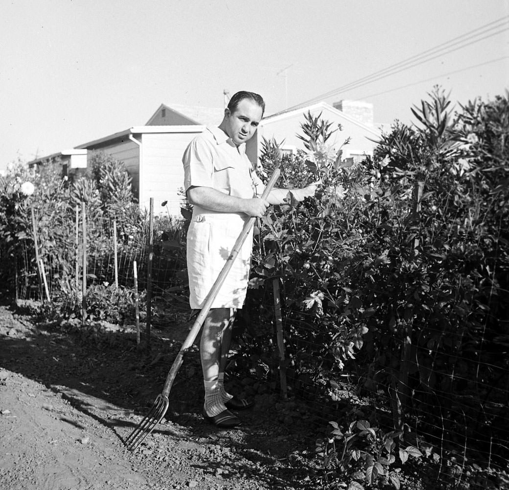 Mickey Cohen at home in Los Angeles, 1949.