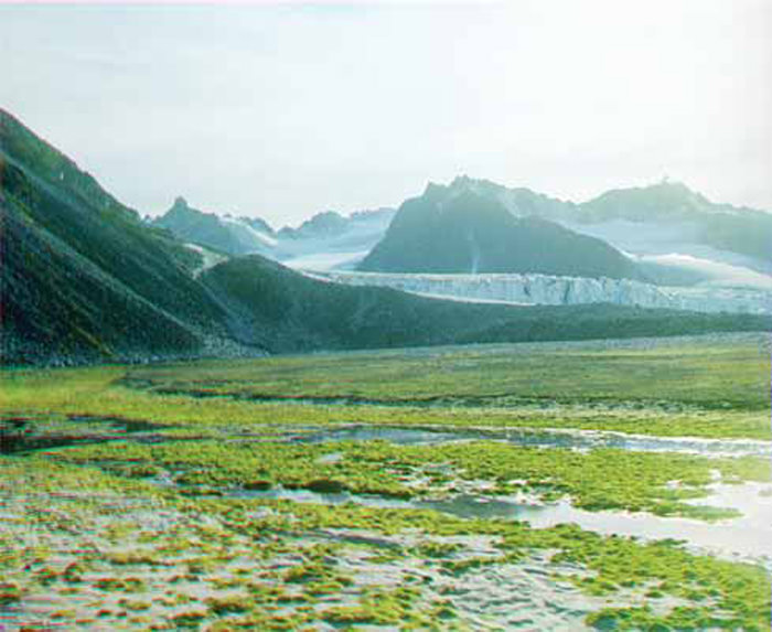 The First Color Photographs of Norway in 1910 by Adolf Miethe