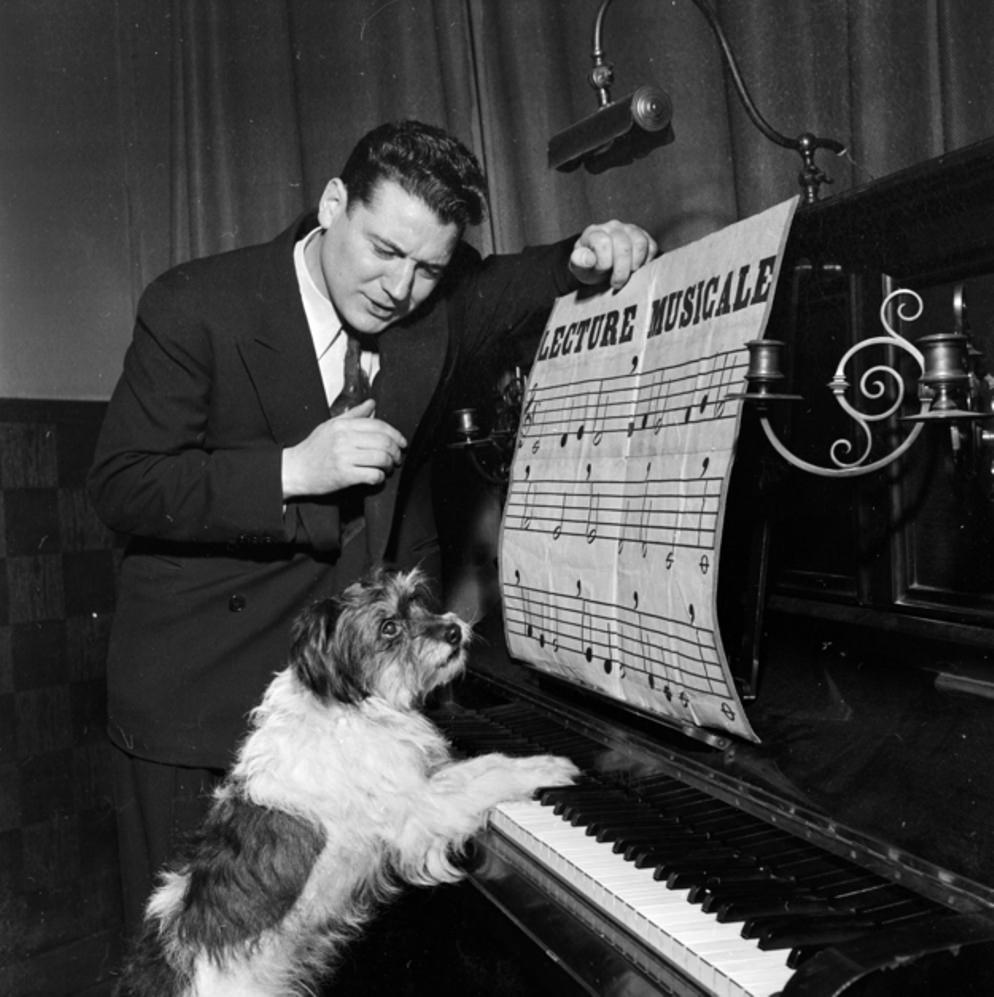 Doggie, je t’aime: part deux, 1955.