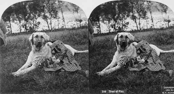 A dog posing while its owner sleeps, 1894.