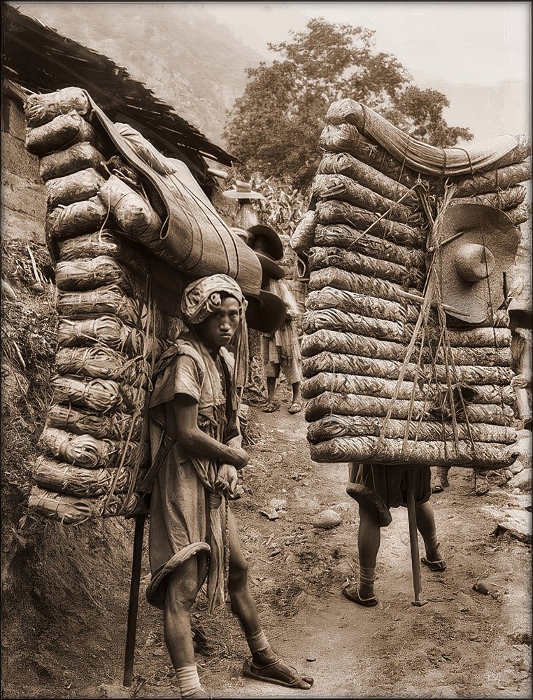 Men laden with tea, Sichuan Sheng, 1908.