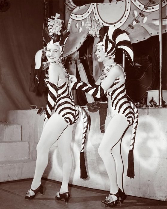 Two of the zebras flaunt their stripes—including flirty and anthropologically accurate tasseled tails.