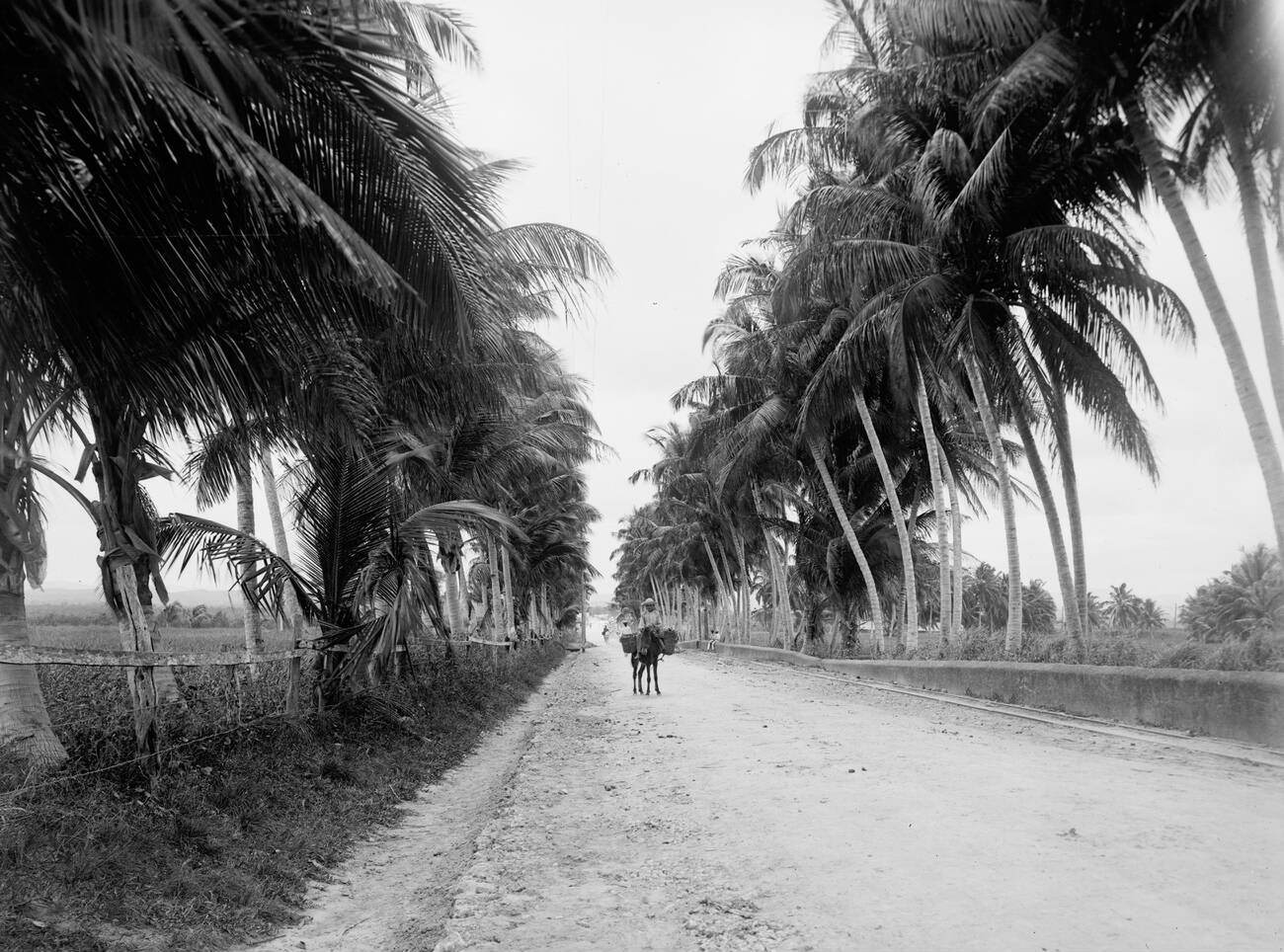 A military road in San Juan, Puerto Rico, 1900s.