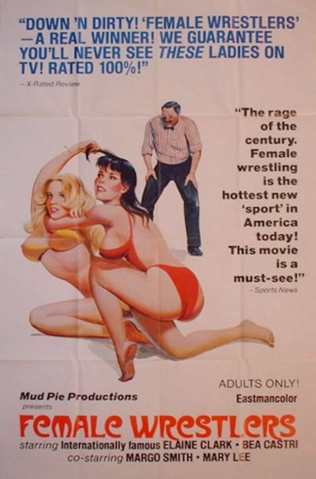 Laughs and Low Budgets: Exploring the Wild World of Old X-Rated Movie Posters