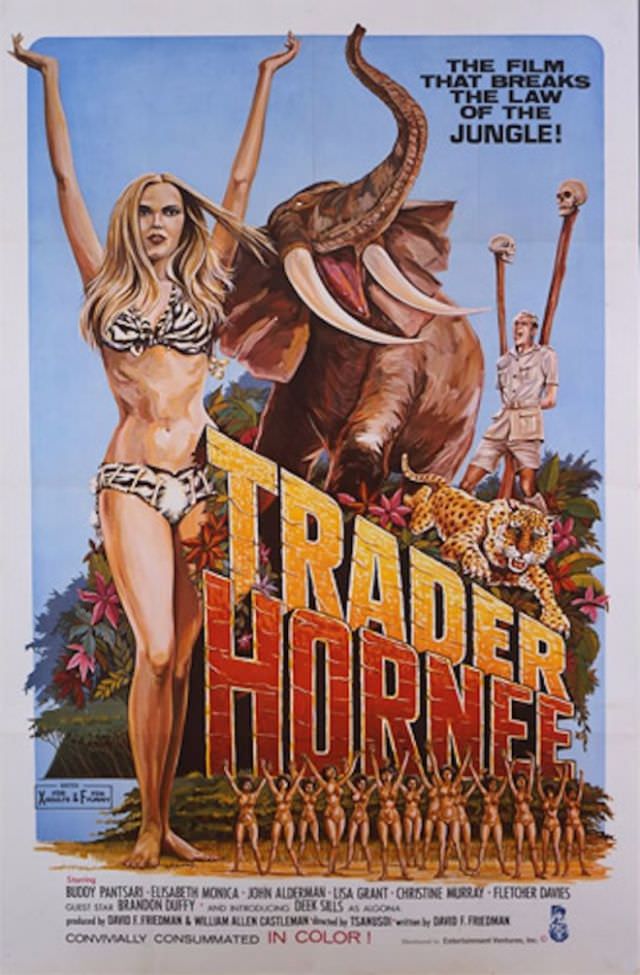 Laughs and Low Budgets: Exploring the Wild World of Old X-Rated Movie Posters