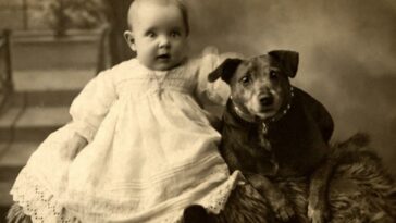 Historic Photos of Dogs and Their Humans