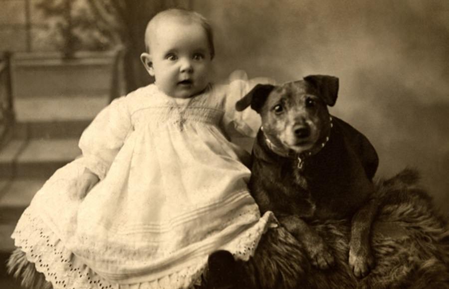 Historic Photos of Dogs and Their Humans