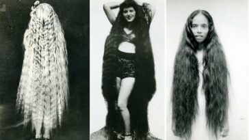 Long-Haired Ladies by Stan Shuttleworth