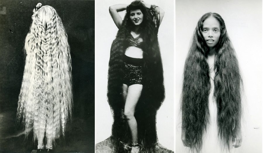 Long-Haired Ladies by Stan Shuttleworth