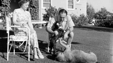 Mickey Cohen 1949