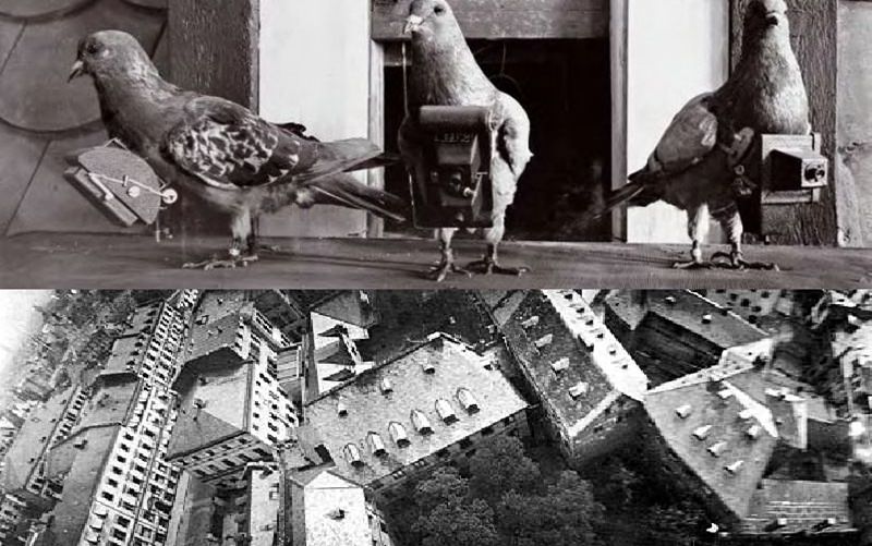 Pigeon Aerial Photographs 1908