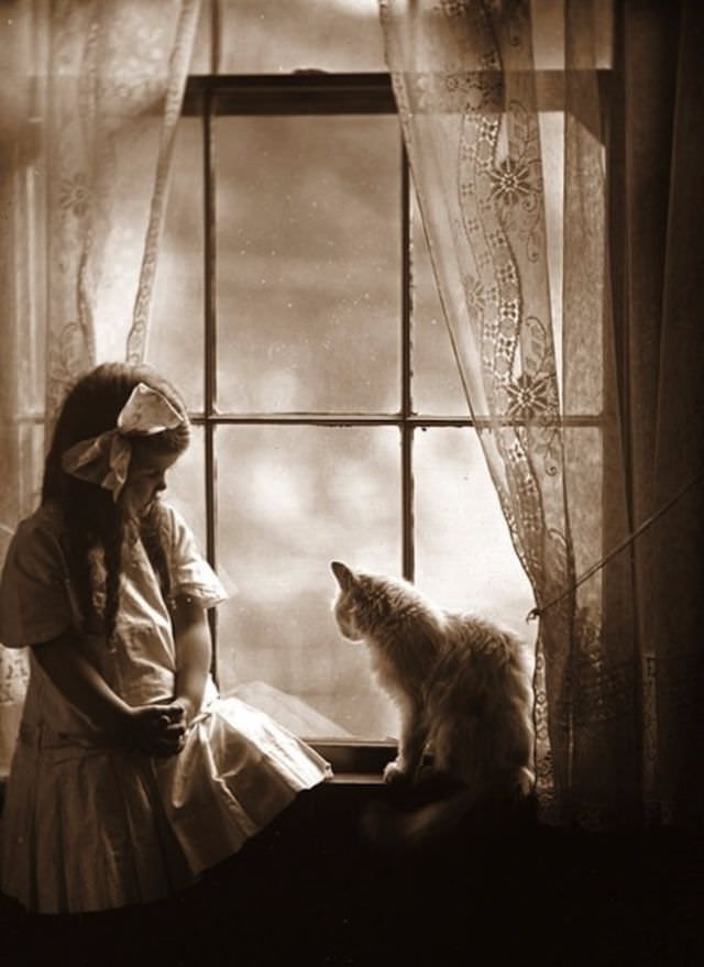 Lovely Vintage Photos of Little Girls with Their Beloved Cats