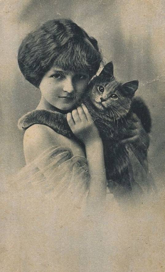 Lovely Vintage Photos of Little Girls with Their Beloved Cats