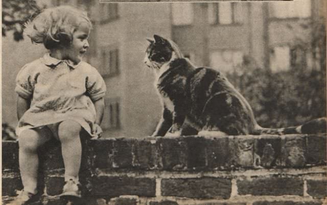 Lovely Vintage Photos of Little Girls with Their Beloved Cats