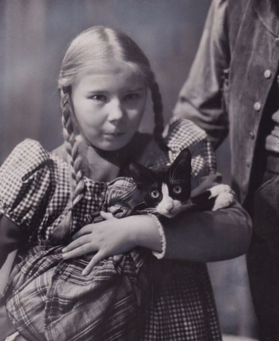 Lovely Vintage Photos of Little Girls with Their Beloved Cats