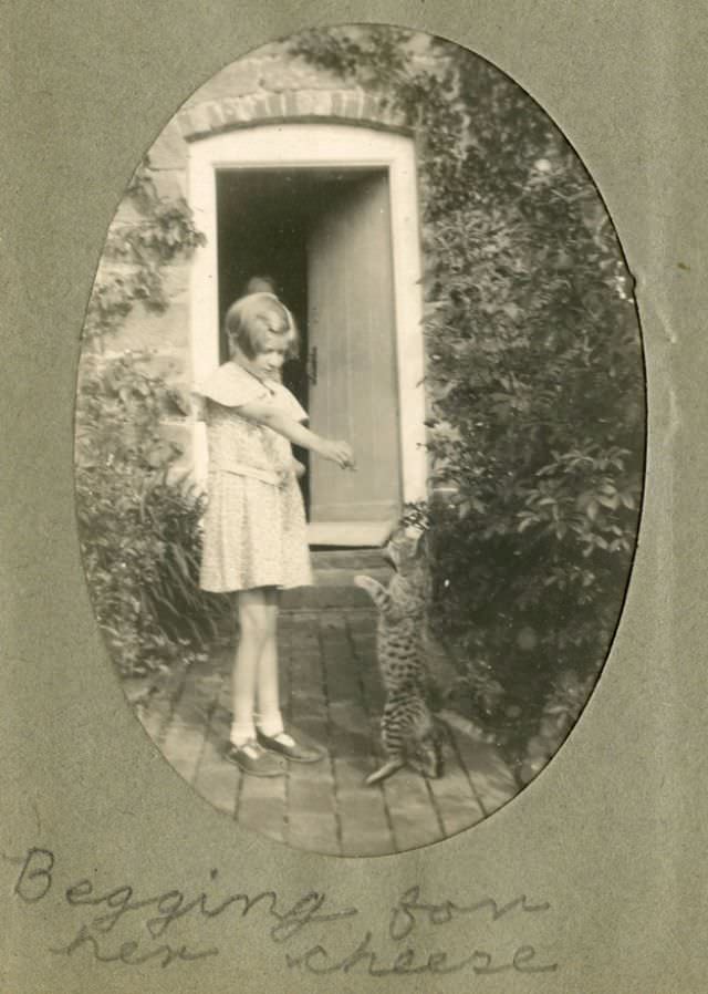 Lovely Vintage Photos of Little Girls with Their Beloved Cats