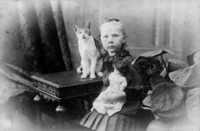 Lovely Vintage Photos of Little Girls with Their Beloved Cats