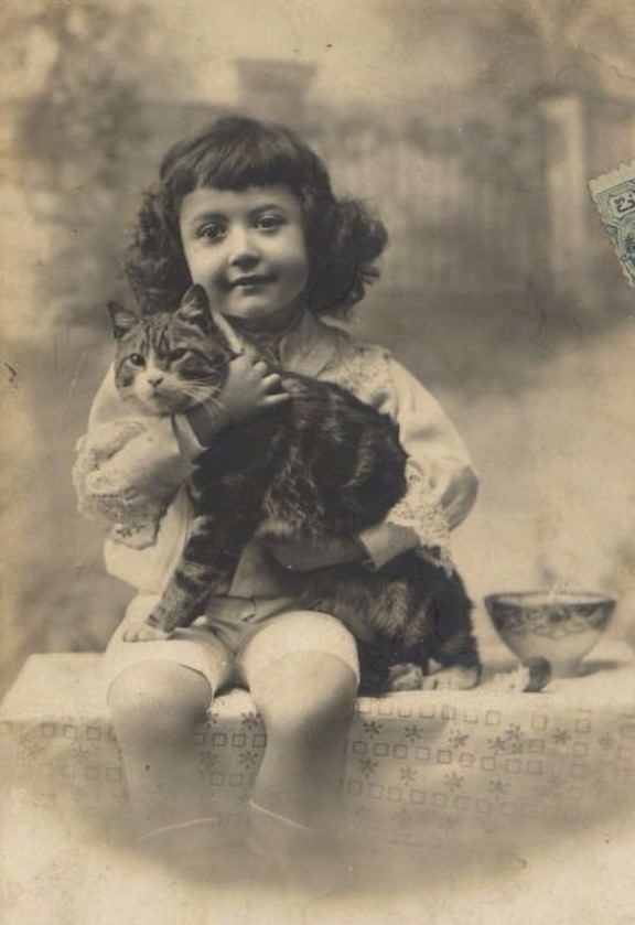 Lovely Vintage Photos of Little Girls with Their Beloved Cats