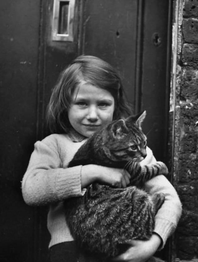 Lovely Vintage Photos of Little Girls with Their Beloved Cats