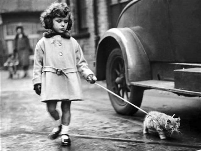 Lovely Vintage Photos of Little Girls with Their Beloved Cats