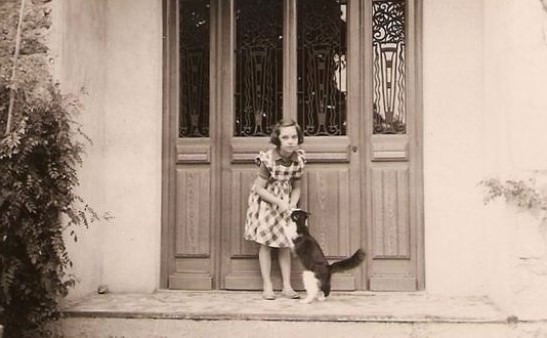 Lovely Vintage Photos of Little Girls with Their Beloved Cats