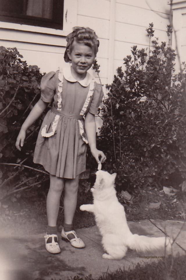 Lovely Vintage Photos of Little Girls with Their Beloved Cats