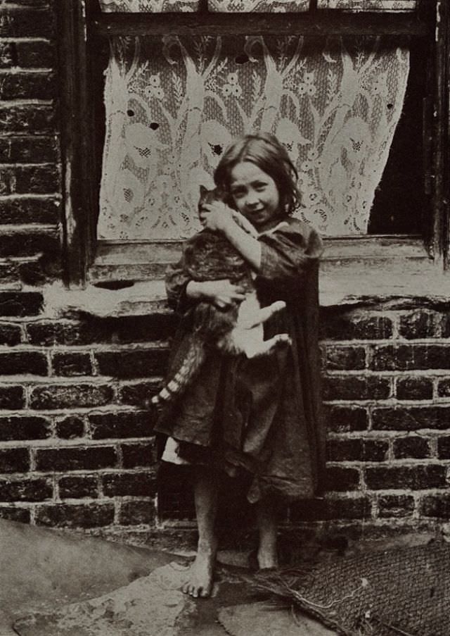 Lovely Vintage Photos of Little Girls with Their Beloved Cats